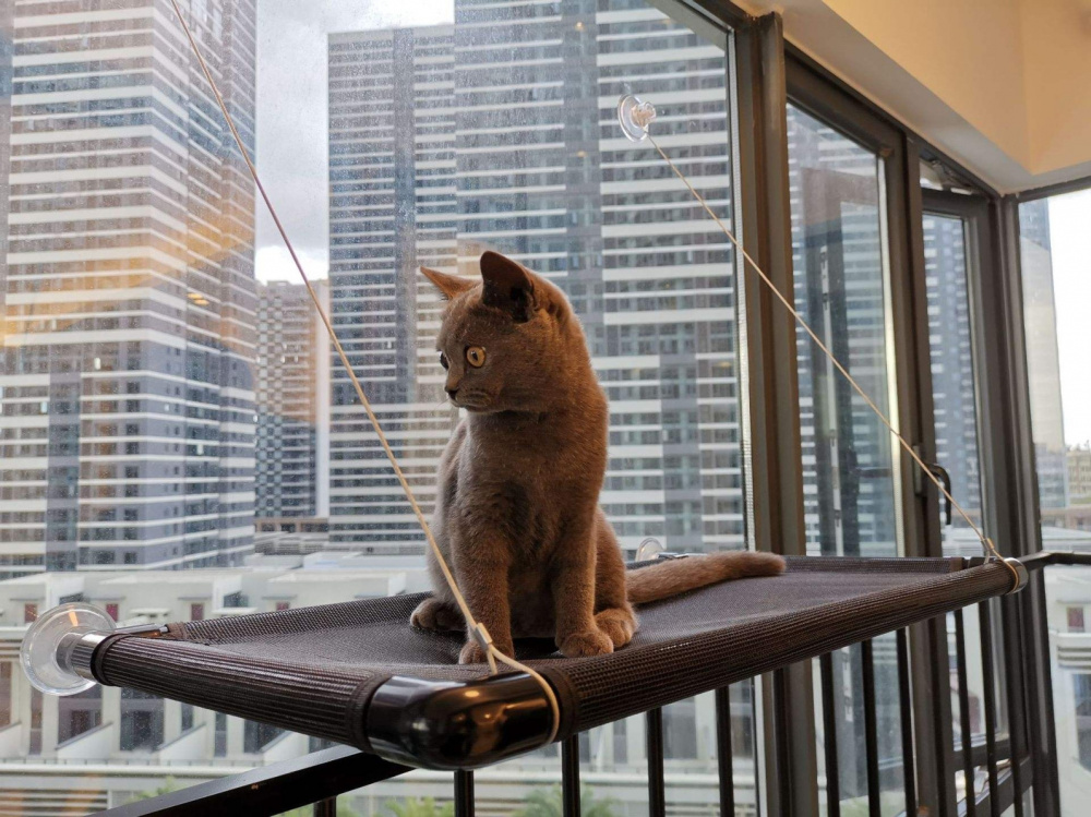 Дизайн проект Кухня-гостиная