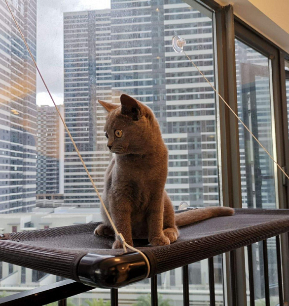 Дизайн проект Кухня-гостиная